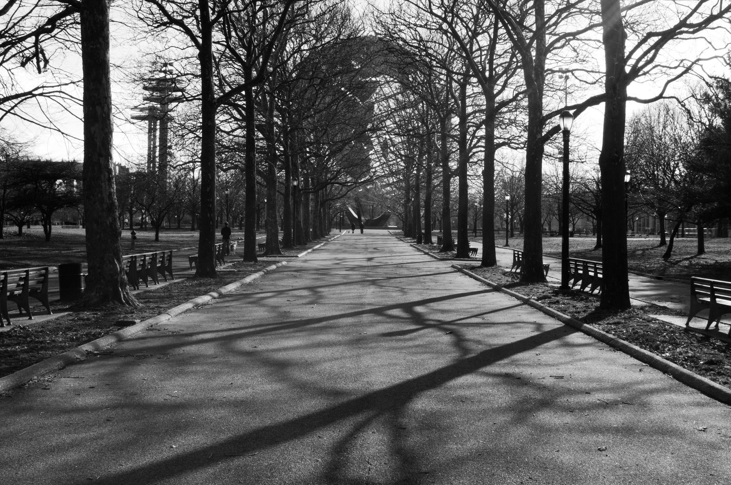 A black and white path lined with bare trees and benches casts long shadows in a peaceful park setting.