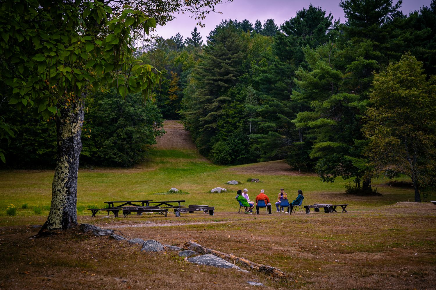 People gather at picnic tables under tall pine trees at dusk in a peaceful forest setting.