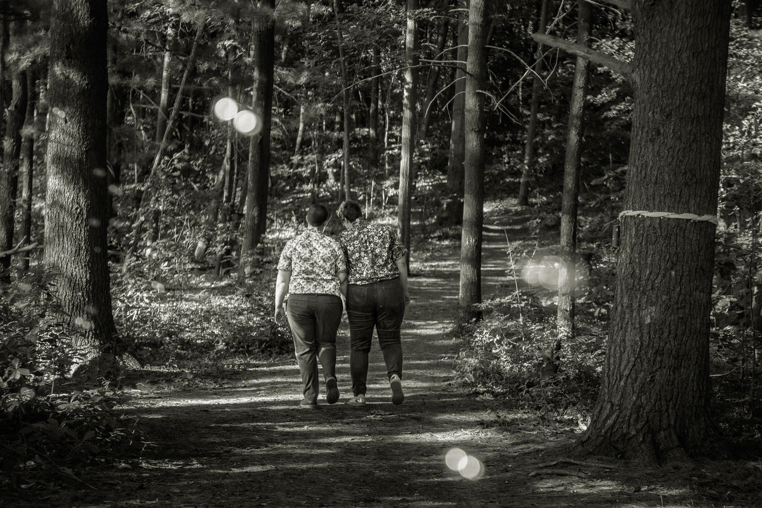 People walking on a wooded trail through a forest on a sunny afternoon.
