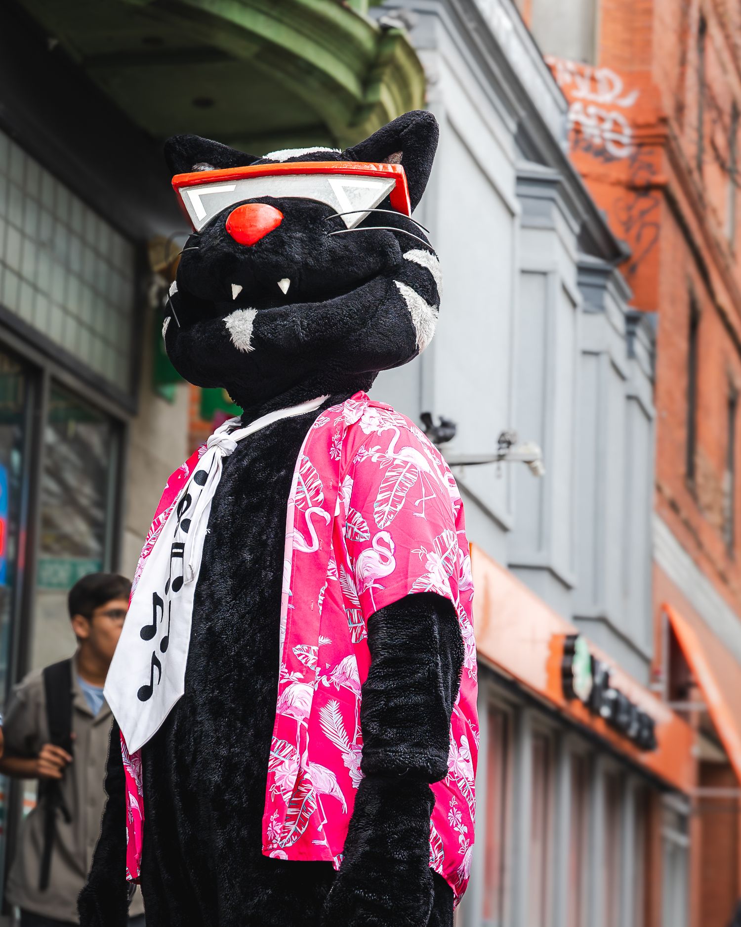 Black cat mascot costume wearing pink floral jacket and sash stands on urban street.