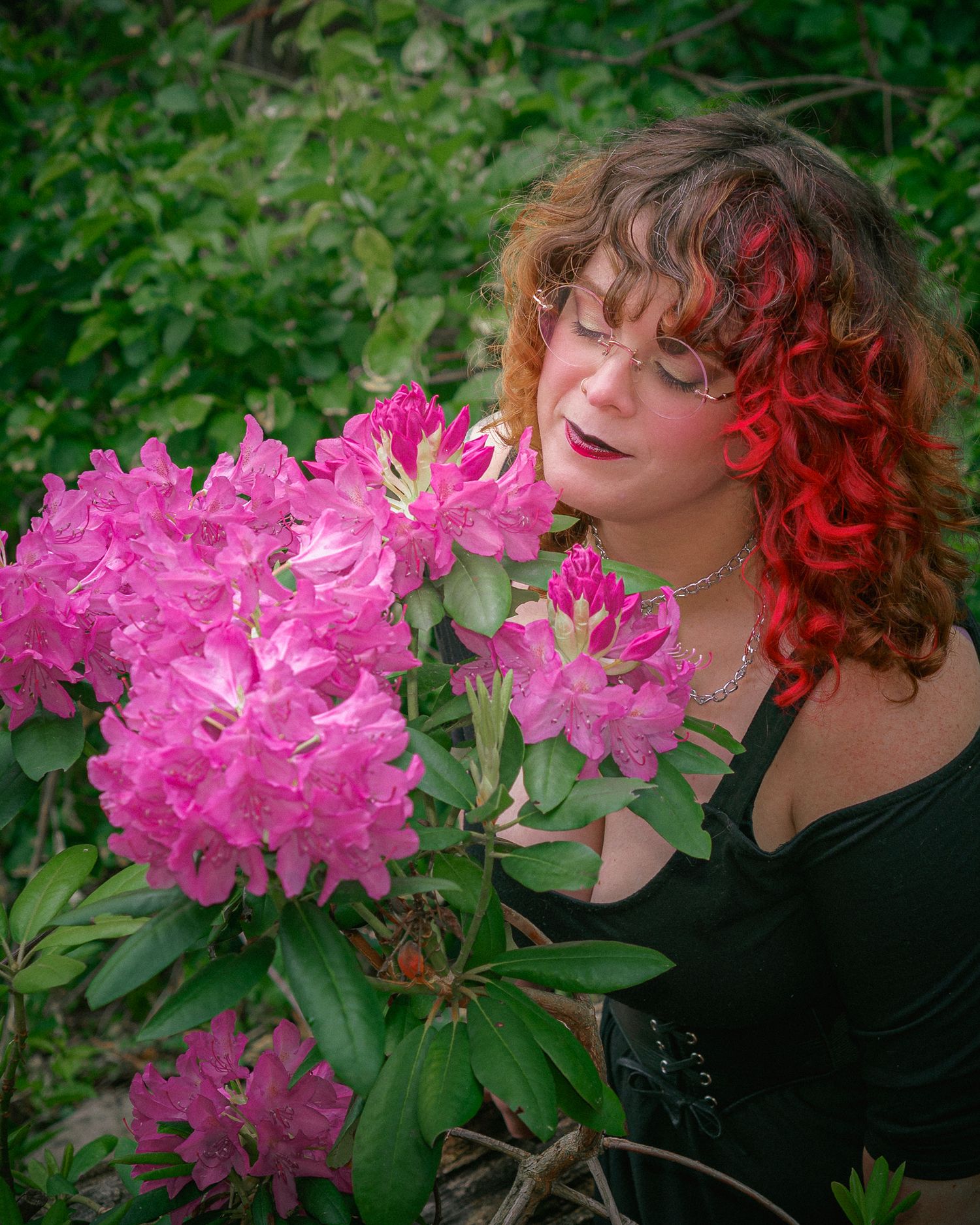 A sequence of seven photos showing vibrant pink rhododendron flowers against a backdrop of lush green foliage.