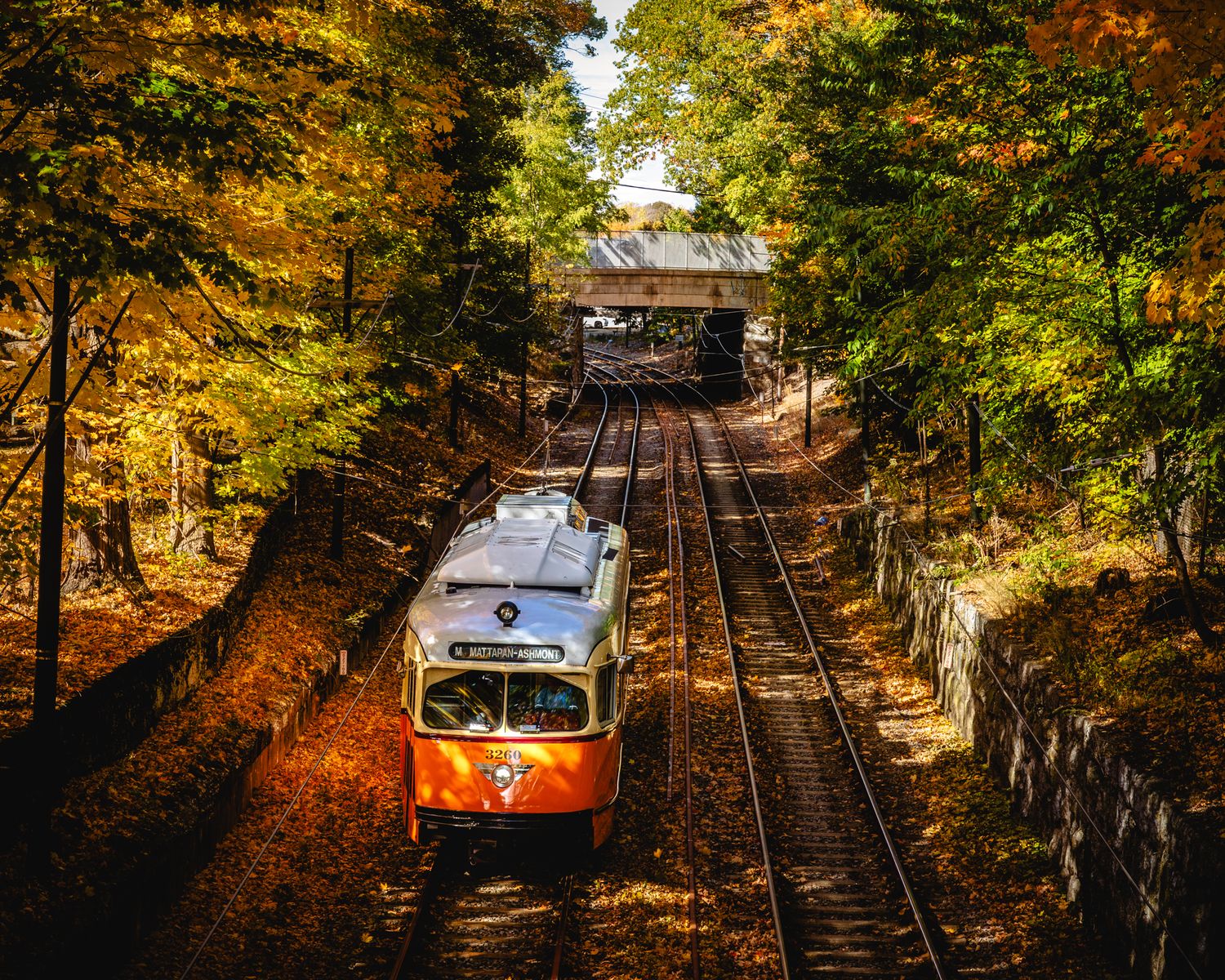A scenic train track cuts through vibrant autumn foliage with golden leaves and a white vehicle visible in the distance.