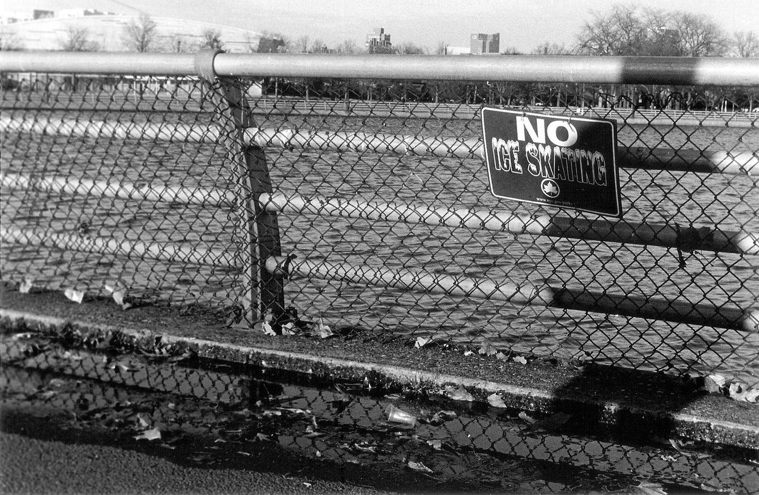 Black and white photo shows a chain link fence with a 