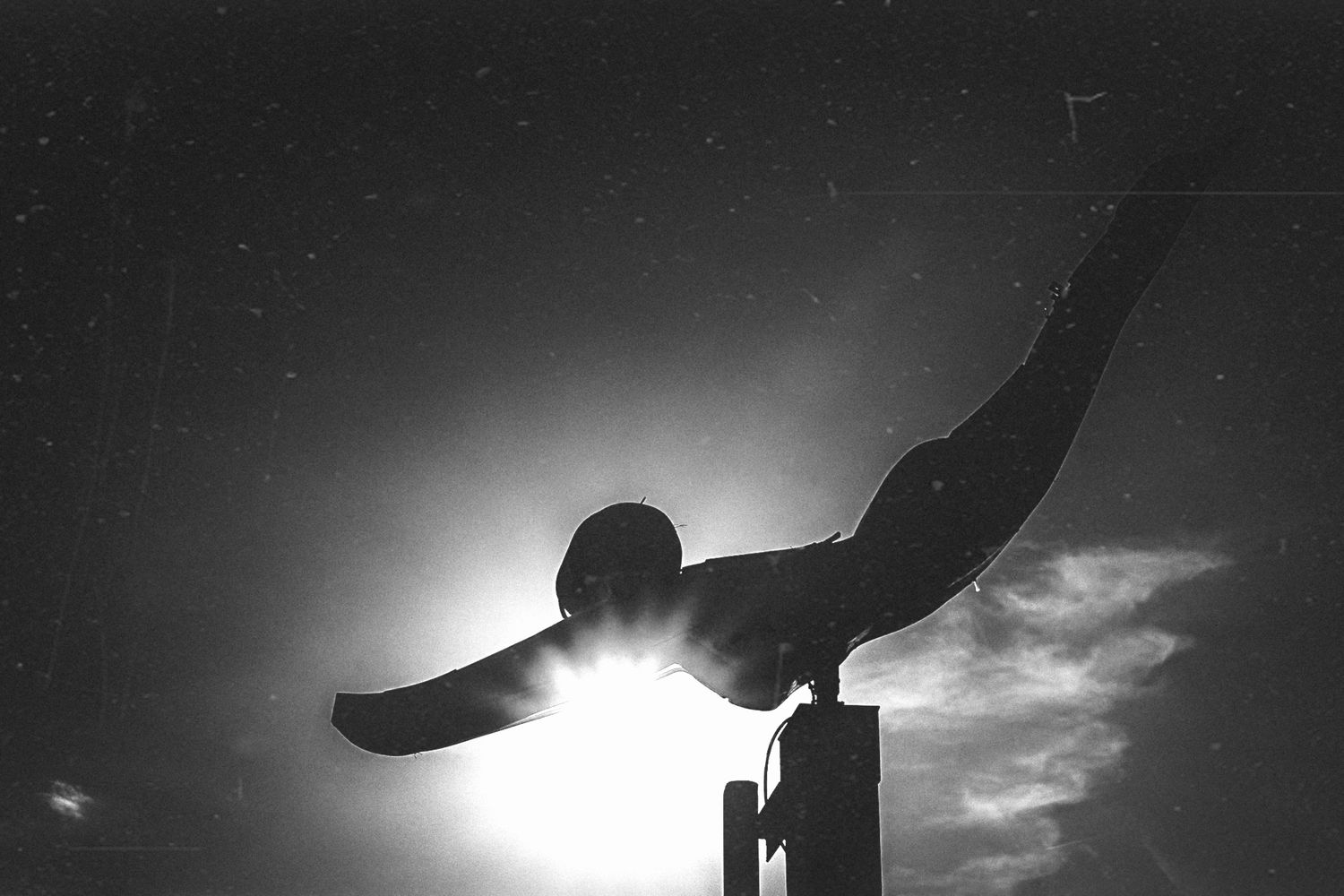 Black and white silhouette of a diver poised on a diving board against a bright backlit sky.