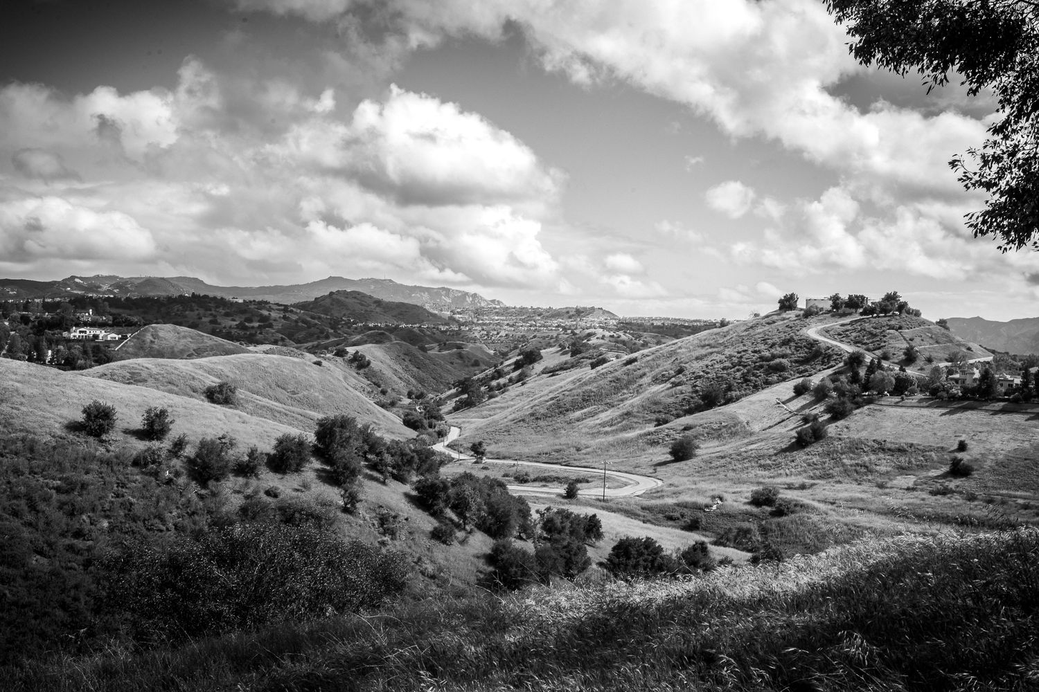 Dramatic black and white landscape of rolling California hills with scattered trees under a cloudy sky.