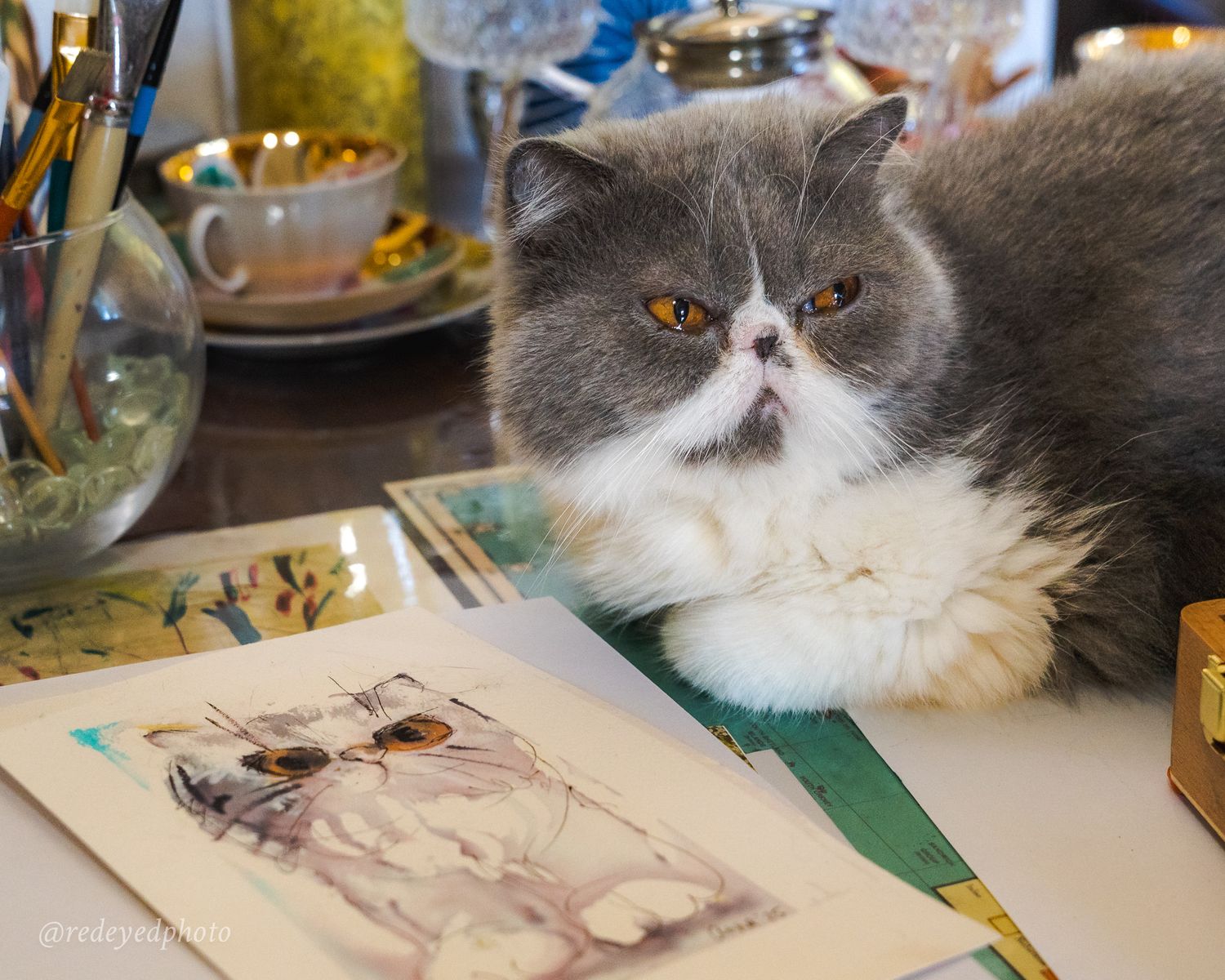 A fluffy Persian cat with grey and white fur lounges on a table next to artwork and decorative items.