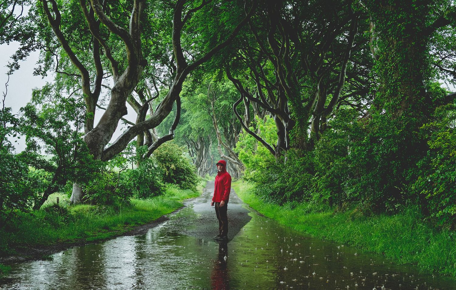 Person in red jacket standing on a wet tree-lined path at the Dark Hedges in Ireland.