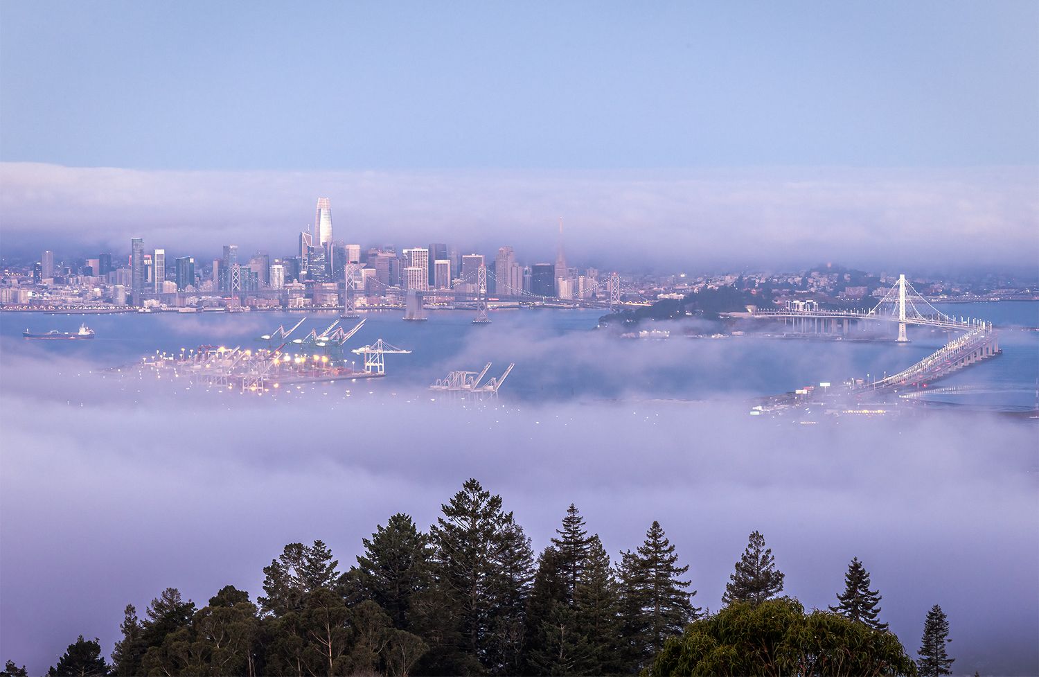 Elevated view of San Francisco skyline and Bay Bridge emerging above a thick blanket of morning fog.