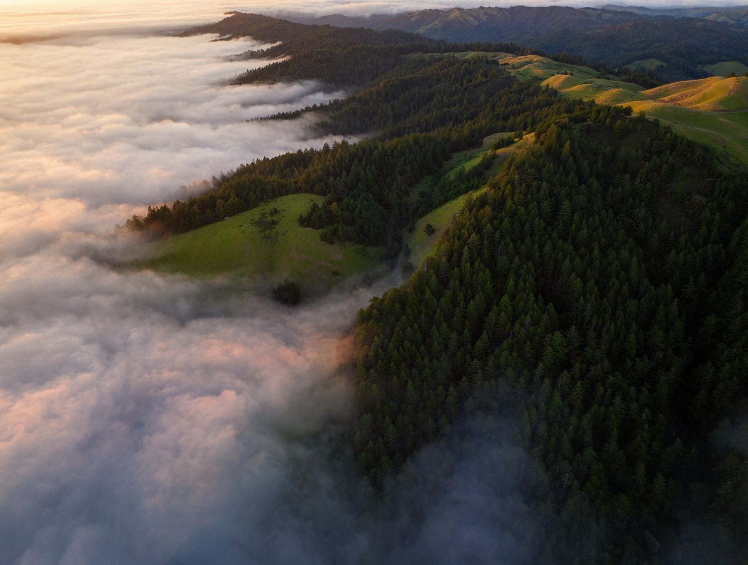 Aerial view of lush green forested hills and meadows emerging above a sea of fog at golden hour.