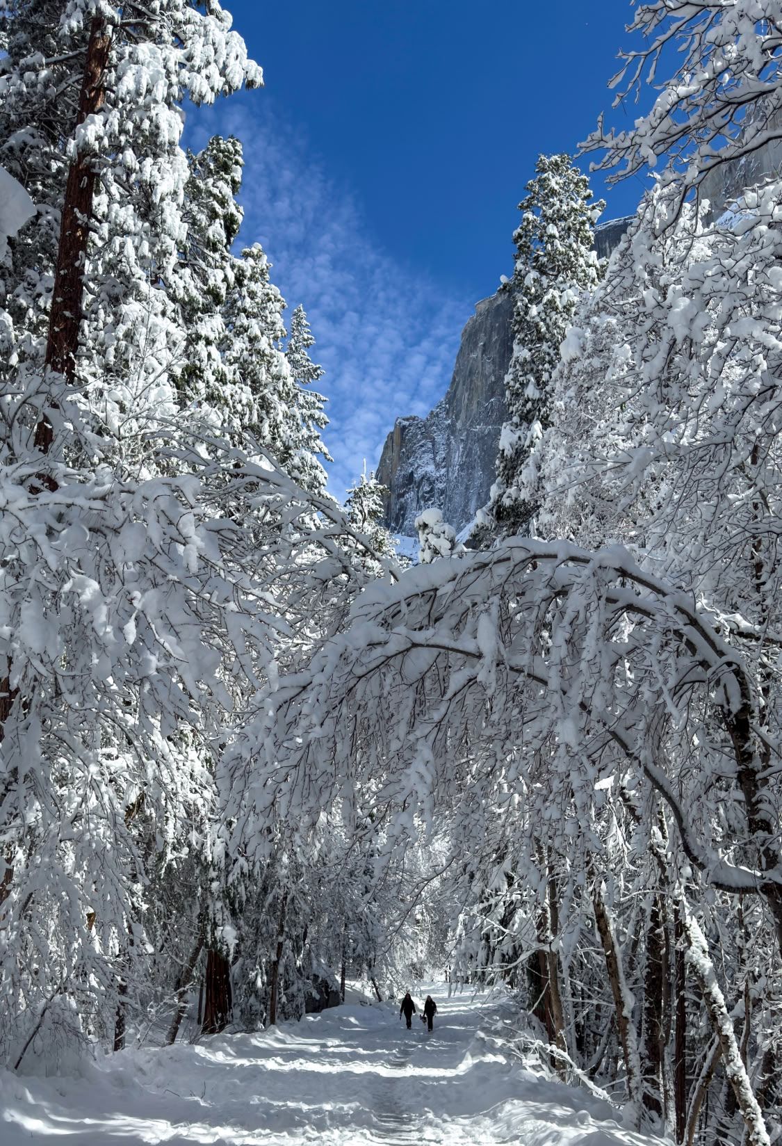 Two hikers walk through a snow-laden forest tunnel with a granite peak visible in Yosemite winter.