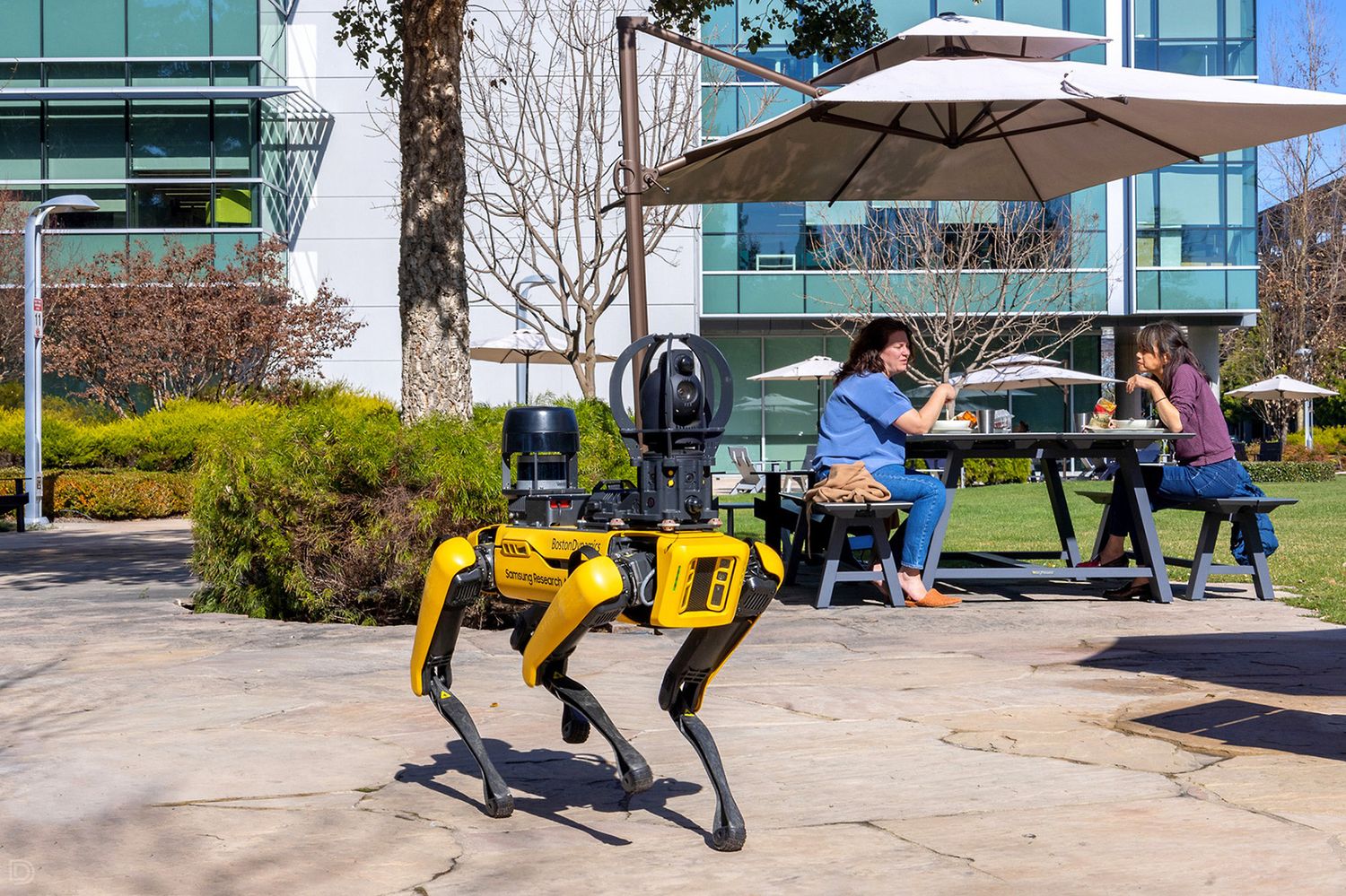 Boston Dynamics Spot robot dog walking near outdoor seating area on a sunny corporate campus.