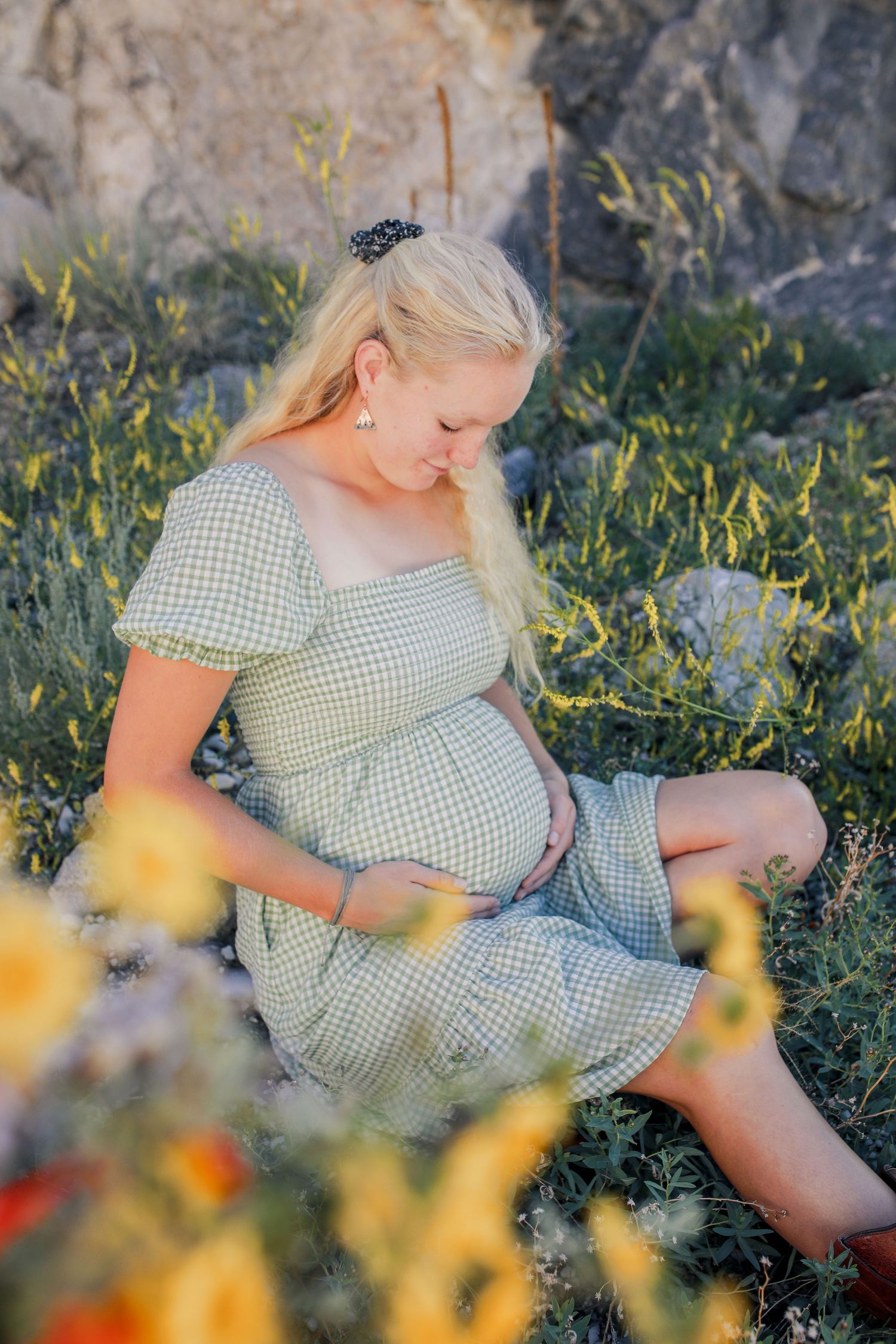 A pregnant woman in a green checkered dress sits in a sunlit meadow, surrounded by wildflowers and rocks, glowing with serene elegance.