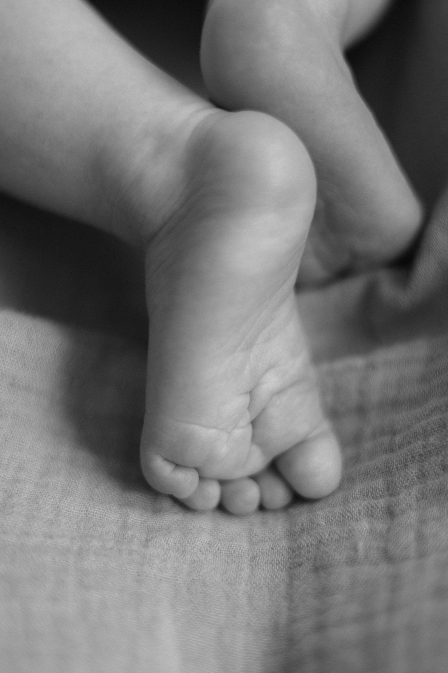 Black and white photo of tiny little baby feet.