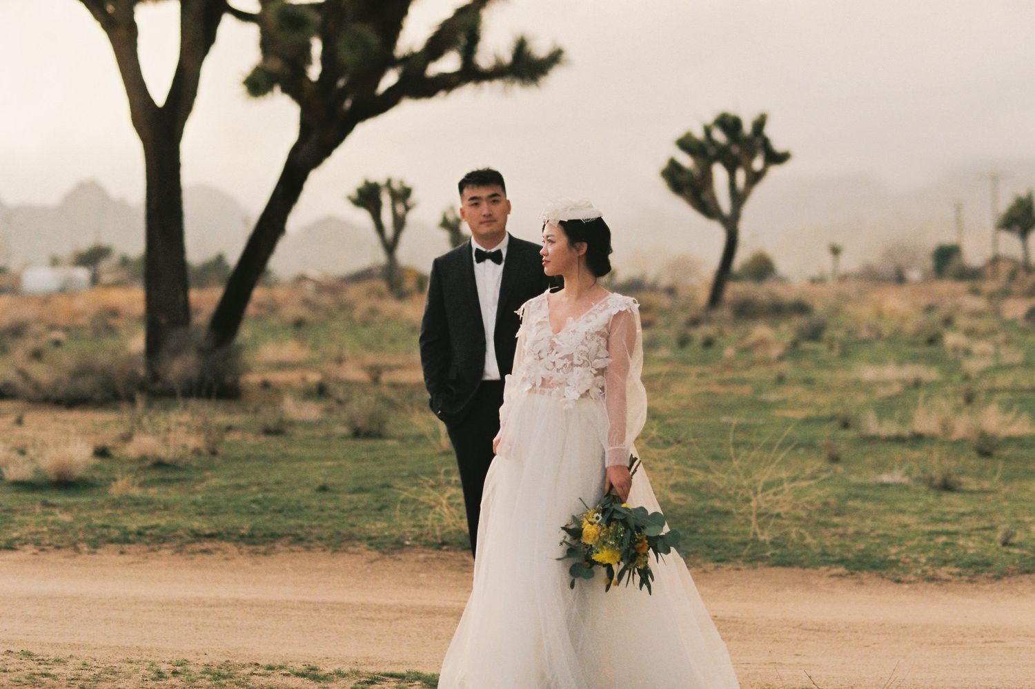 A wedding couple poses in front of Joshua trees in a desert setting.