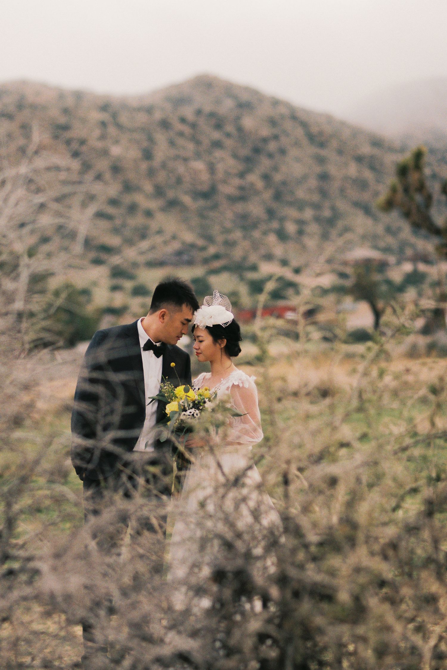 A wedding couple shares an intimate moment among desert brush and mountains.