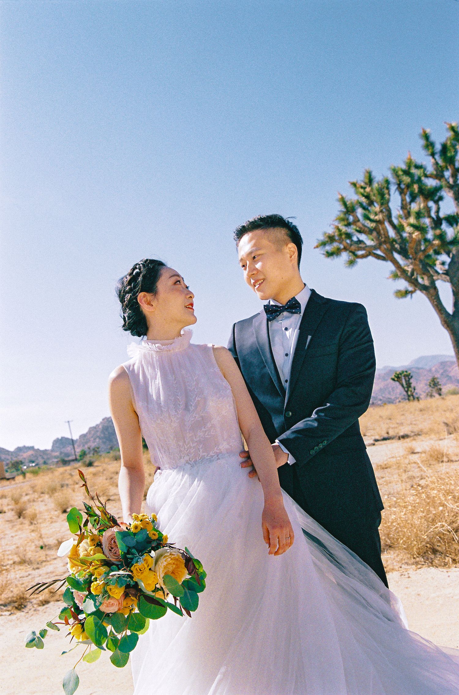 A romantic moment captured in a desert setting with Joshua trees and mountains in the background.