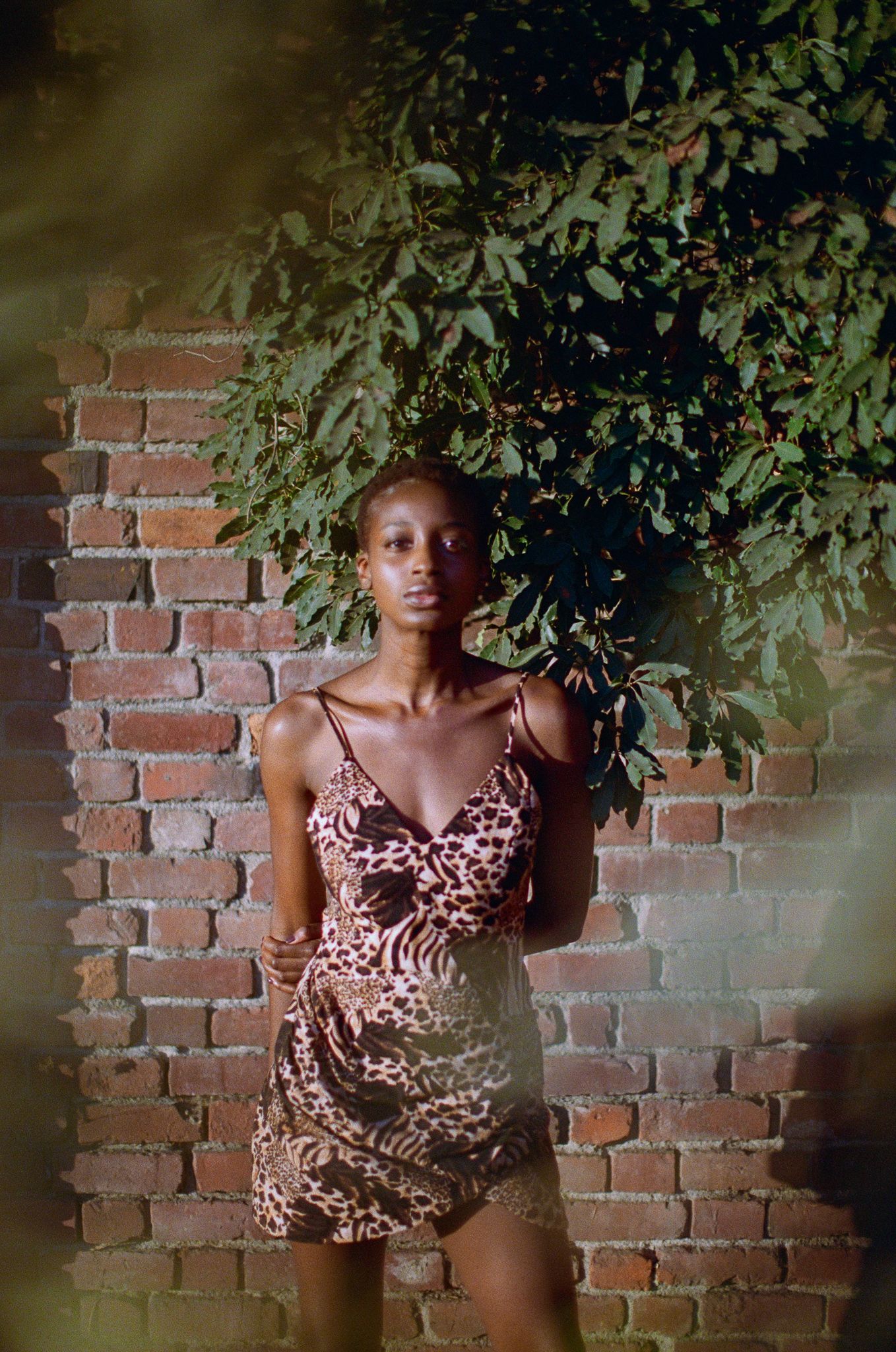 Fashion portrait against brick wall with leaves featuring animal print summer dress.