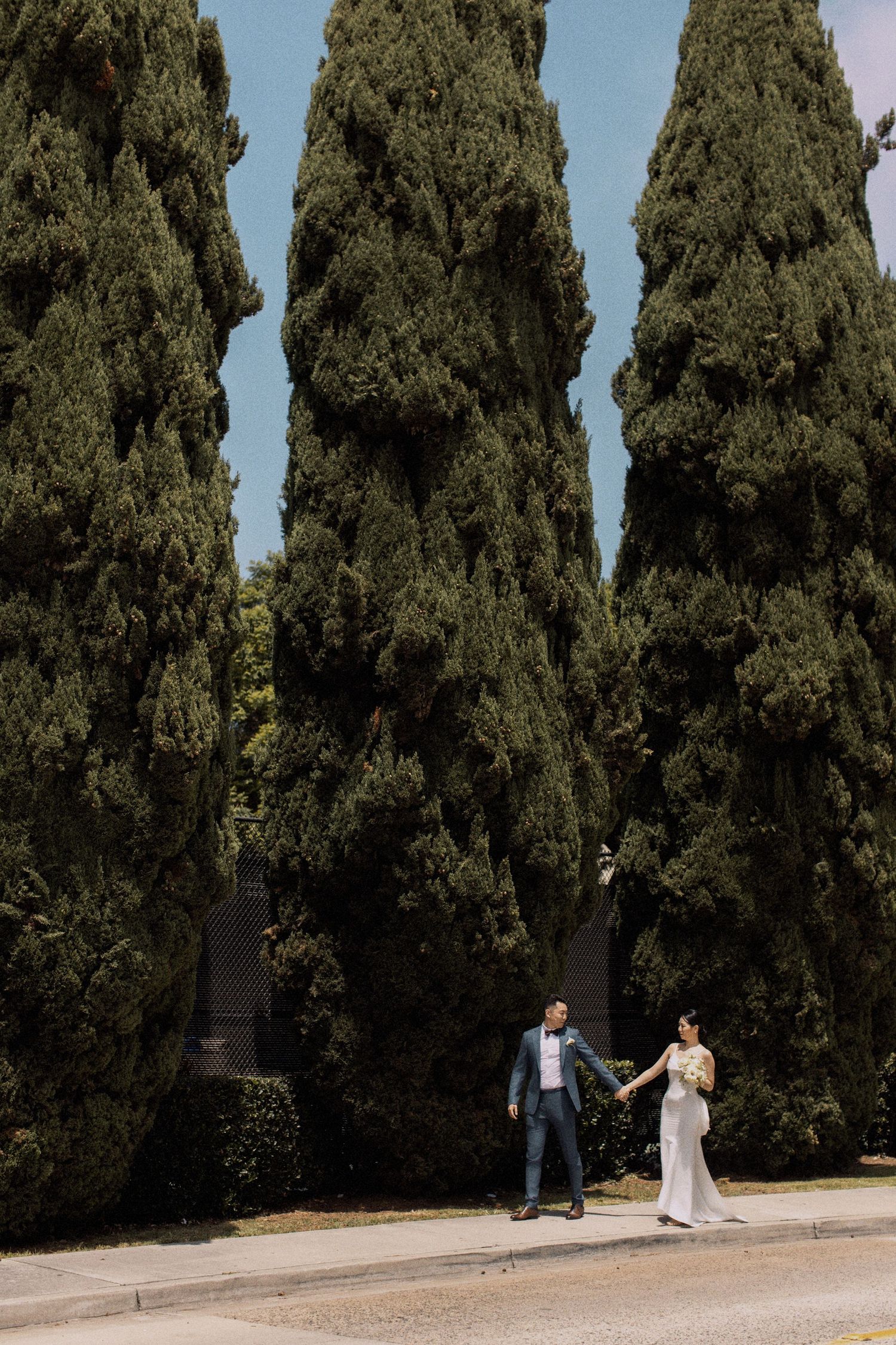 Wedding couple walking along a path lined with tall cypress trees.