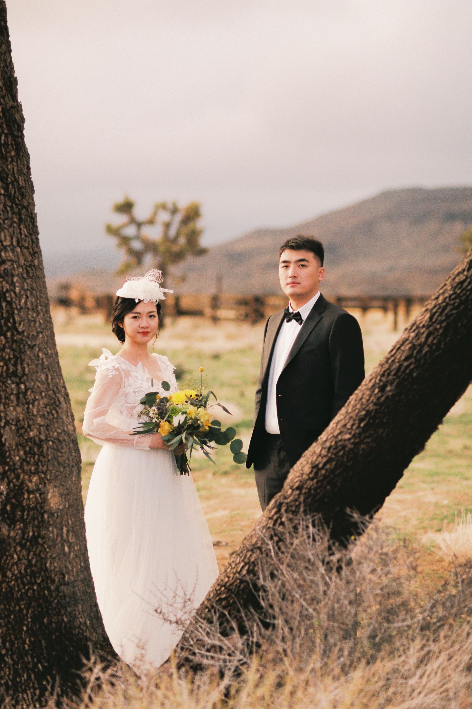 A romantic wedding photo taken against a desert landscape with large tree trunks framing the couple.