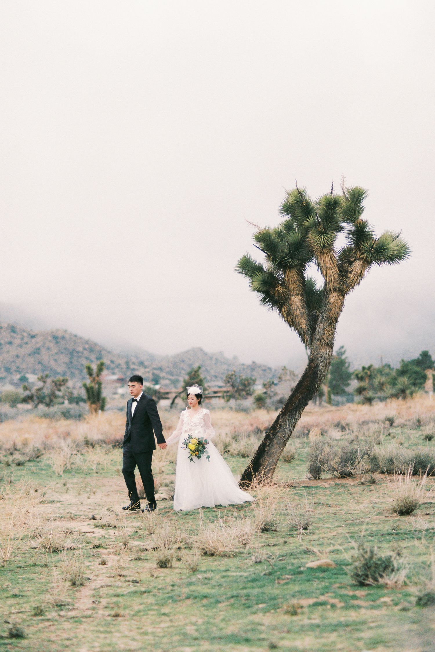 Desert wedding photo featuring couple standing near a Joshua tree with mountains in background.