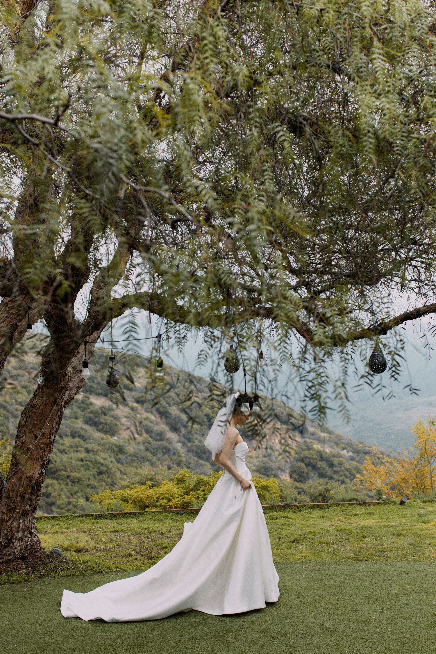 A bride in a flowing white gown poses under a tree on a hillside.