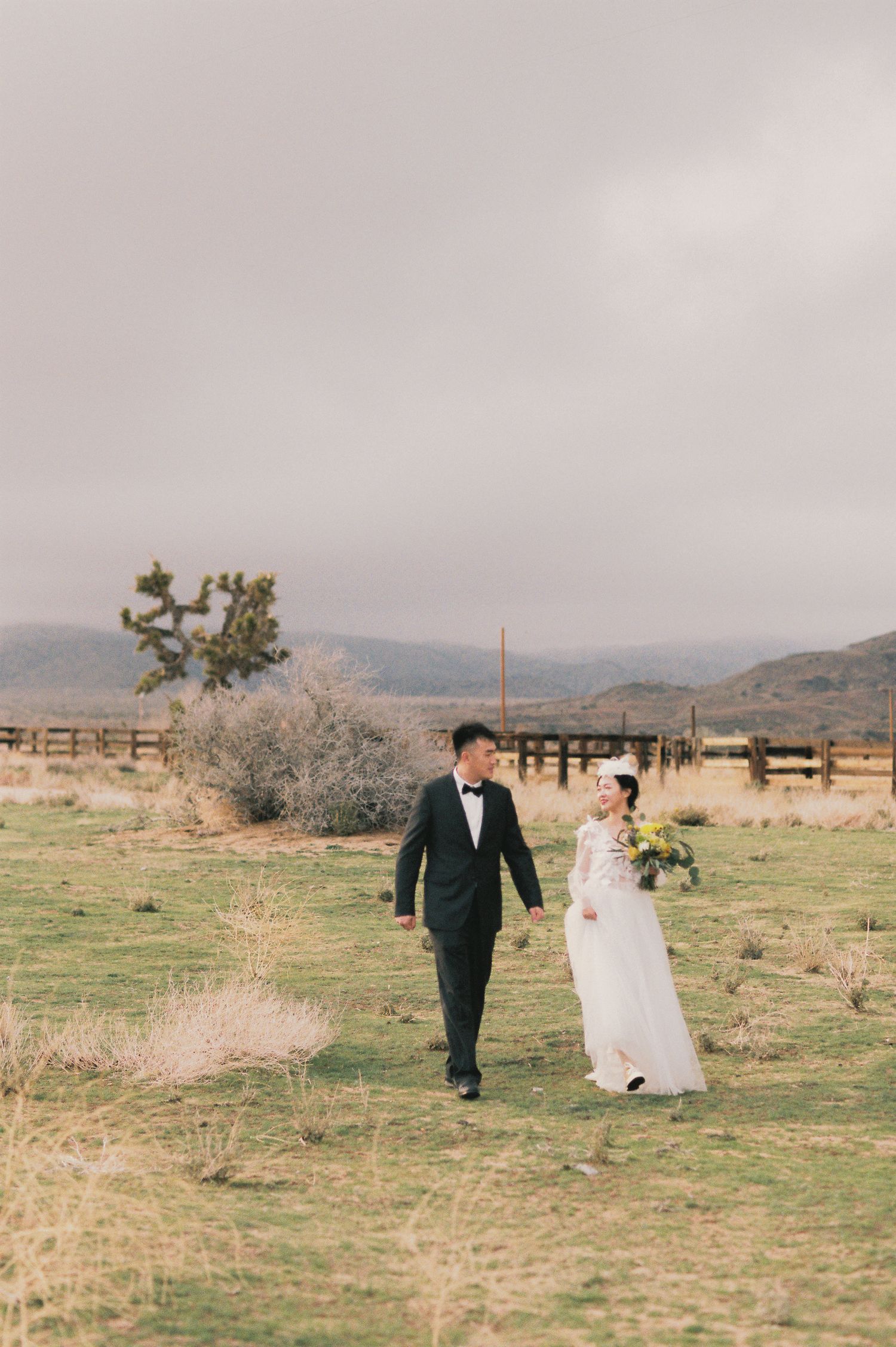 A couple walks hand in hand through a desert landscape in wedding attire.