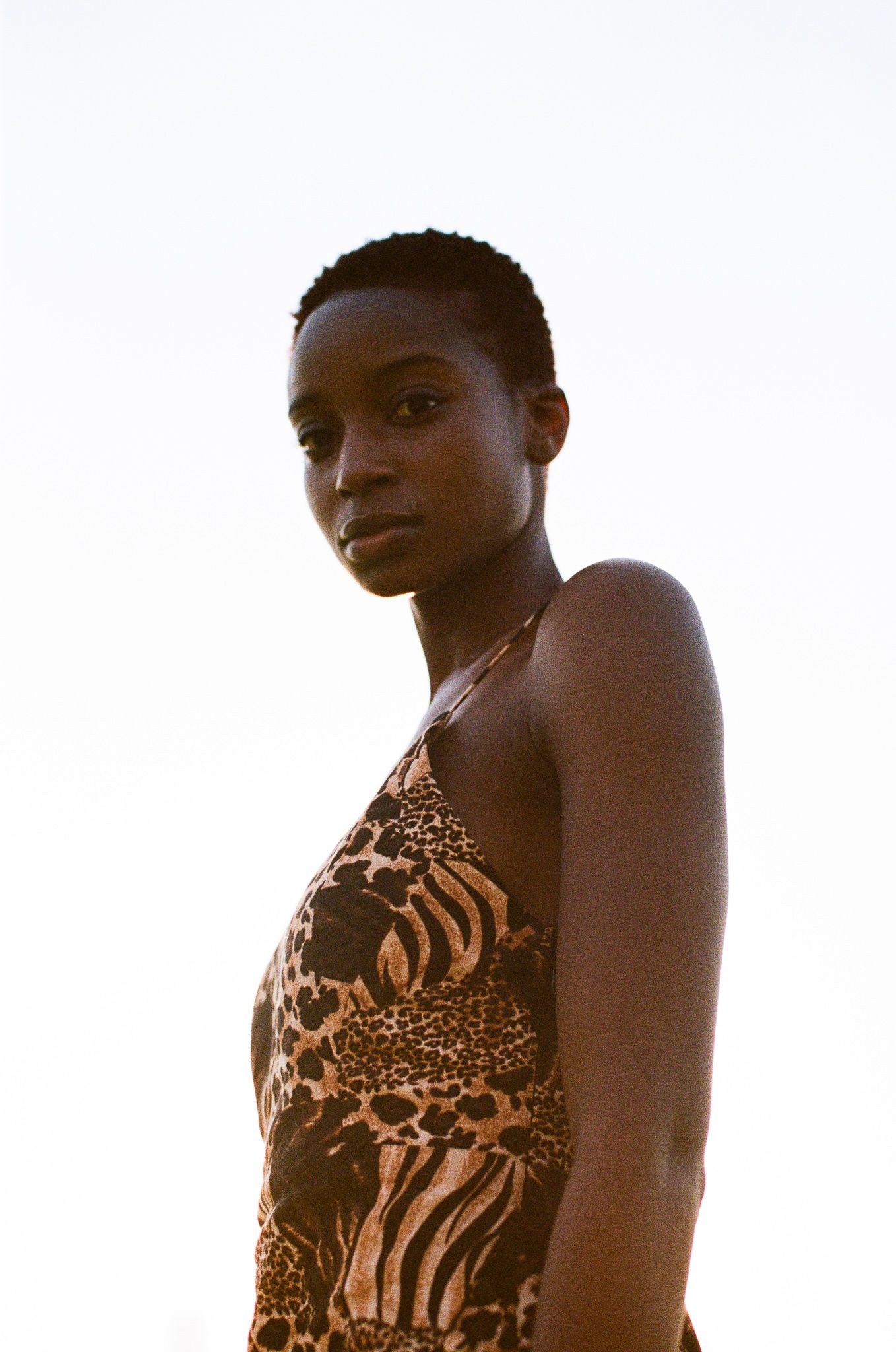 A model in an animal print dress poses against a sunset backdrop.