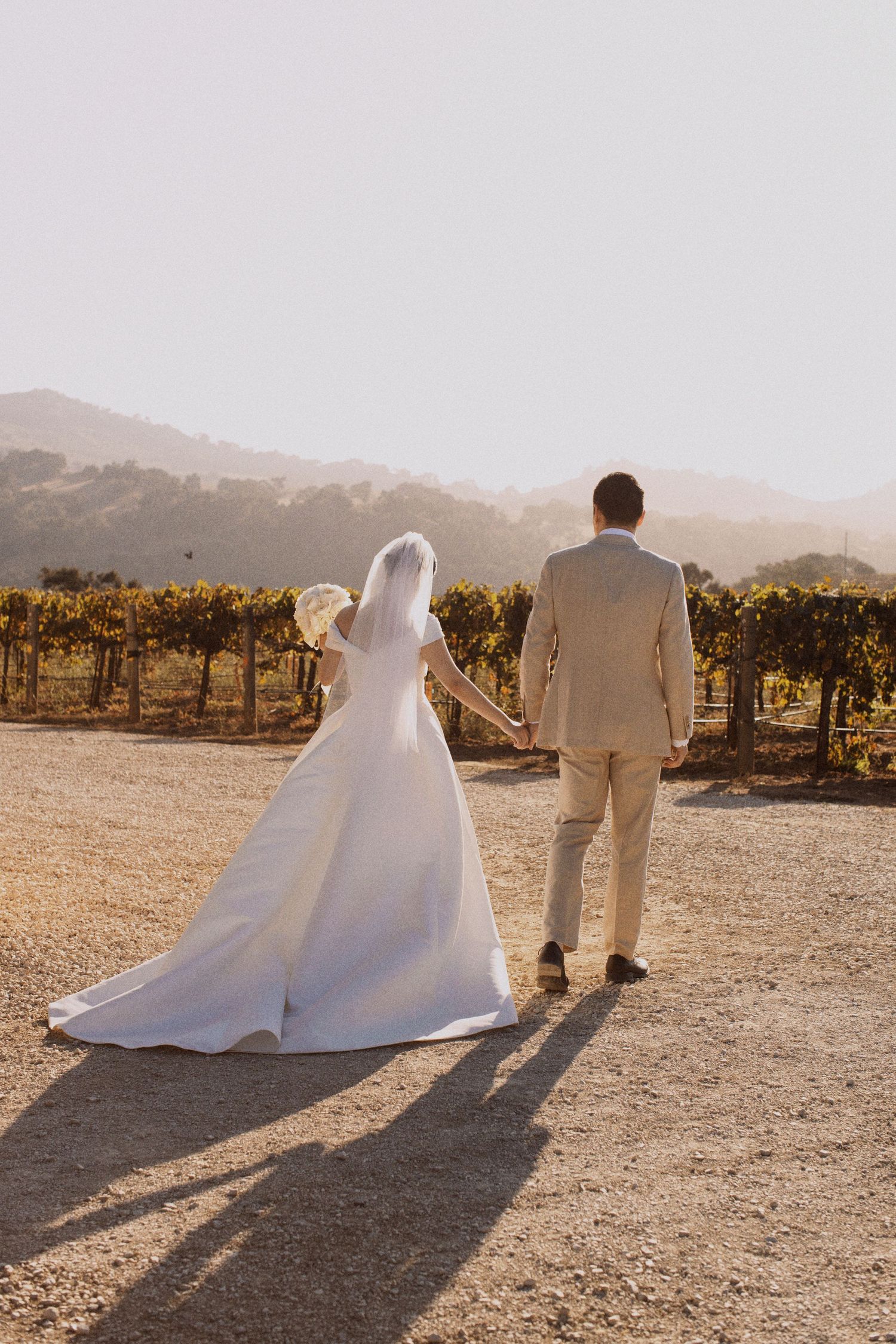 A wedding couple walks through a vineyard at golden hour casting long shadows.