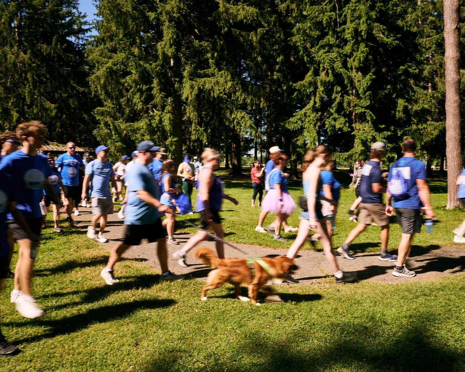 Group of people in blue t-shirts running and walking with a dog in a sunny park during a charity fun run.