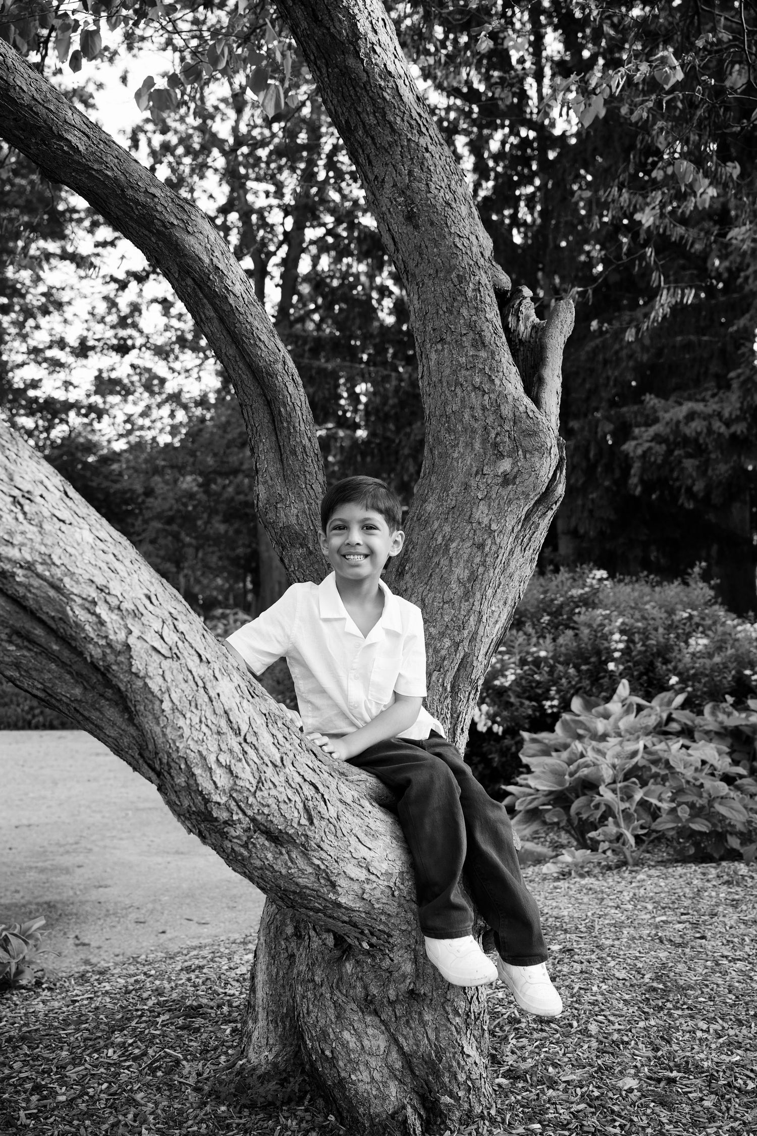 Smiling boy sitting in the fork of a large tree in a park, wearing a white shirt and dark pants, black and white photo.