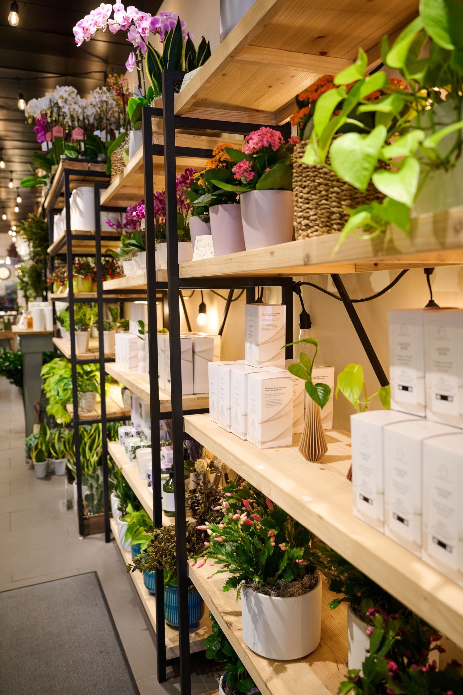 Modern retail display with wooden shelves showcasing elegant orchids, potted plants and home decor items in a boutique setting.