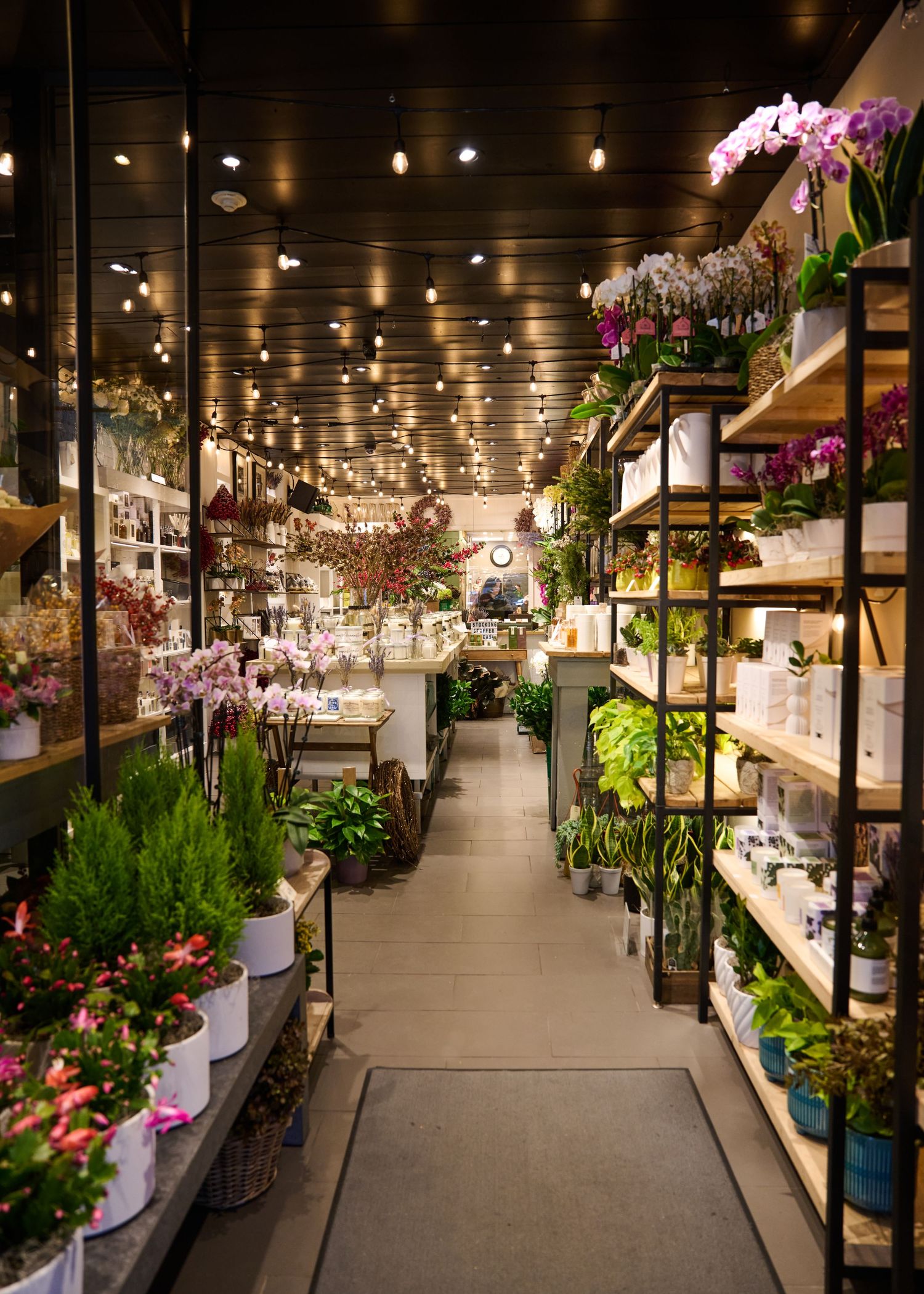 Interior view of a modern flower shop with wooden shelves lined with orchids and plants under warm string lighting.