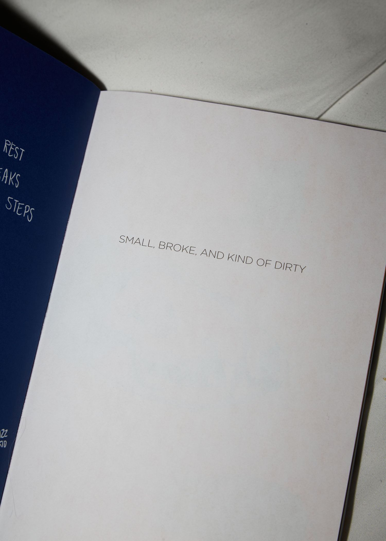 Page from a book showing text that reads 'SMALL BROKE AND KIND OF DIRTY'.