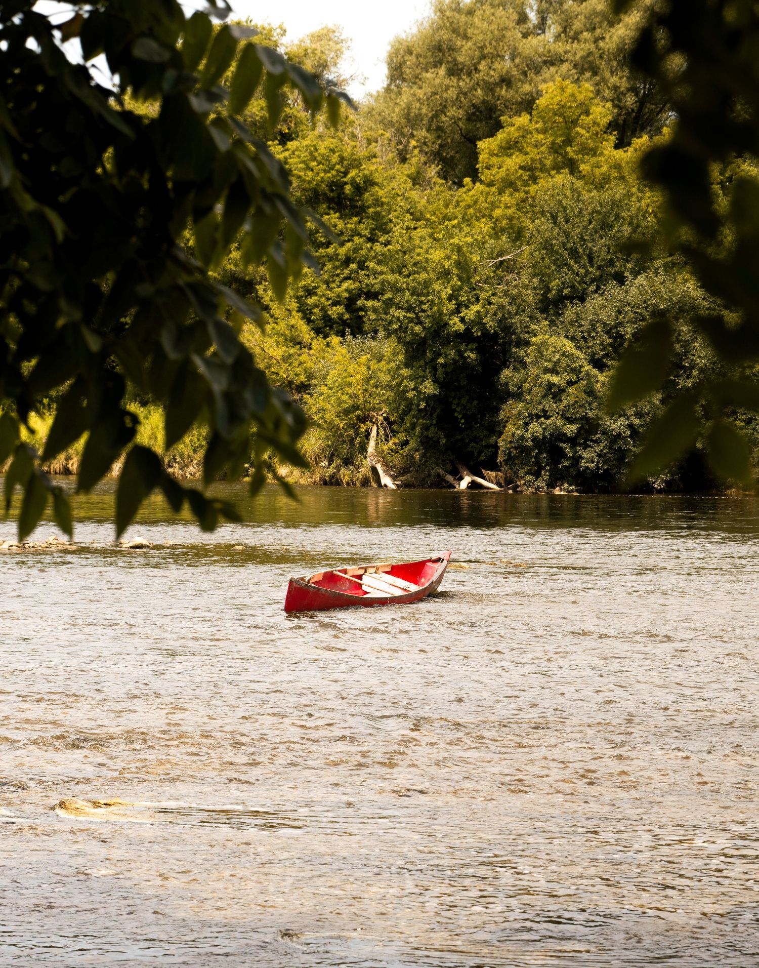 Red canoe floating on a river surrounded by lush summer foliage.