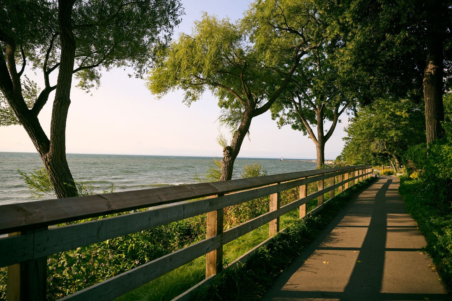 Scenic waterfront boardwalk with wooden railings and trees casting long shadows during sunset.