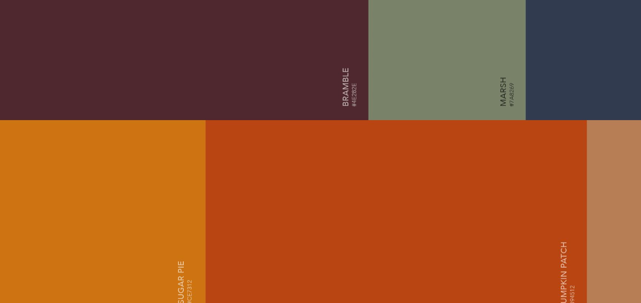 A color palette featuring muted earth tones including burgundy, orange, sage green, and navy blue arranged in horizontal blocks.