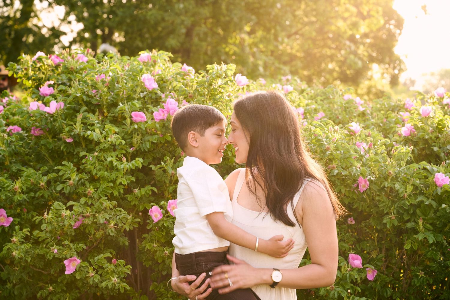 A mother holds her young son among blooming pink roses in golden sunlight, sharing a tender nose-to-nose moment.