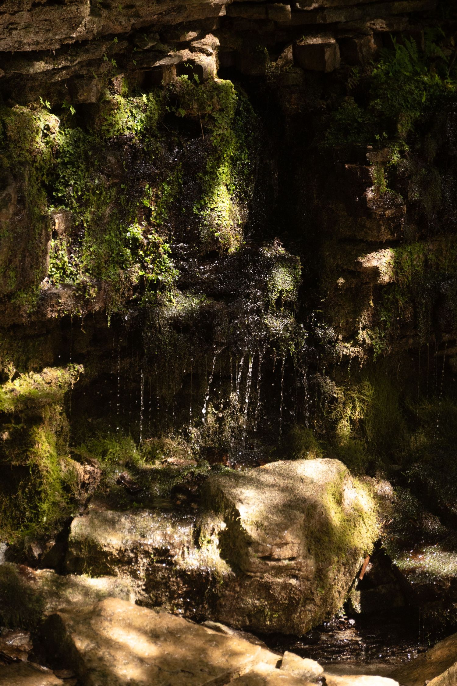 A small waterfall cascades down mossy rocks in a natural grotto setting with dramatic lighting.