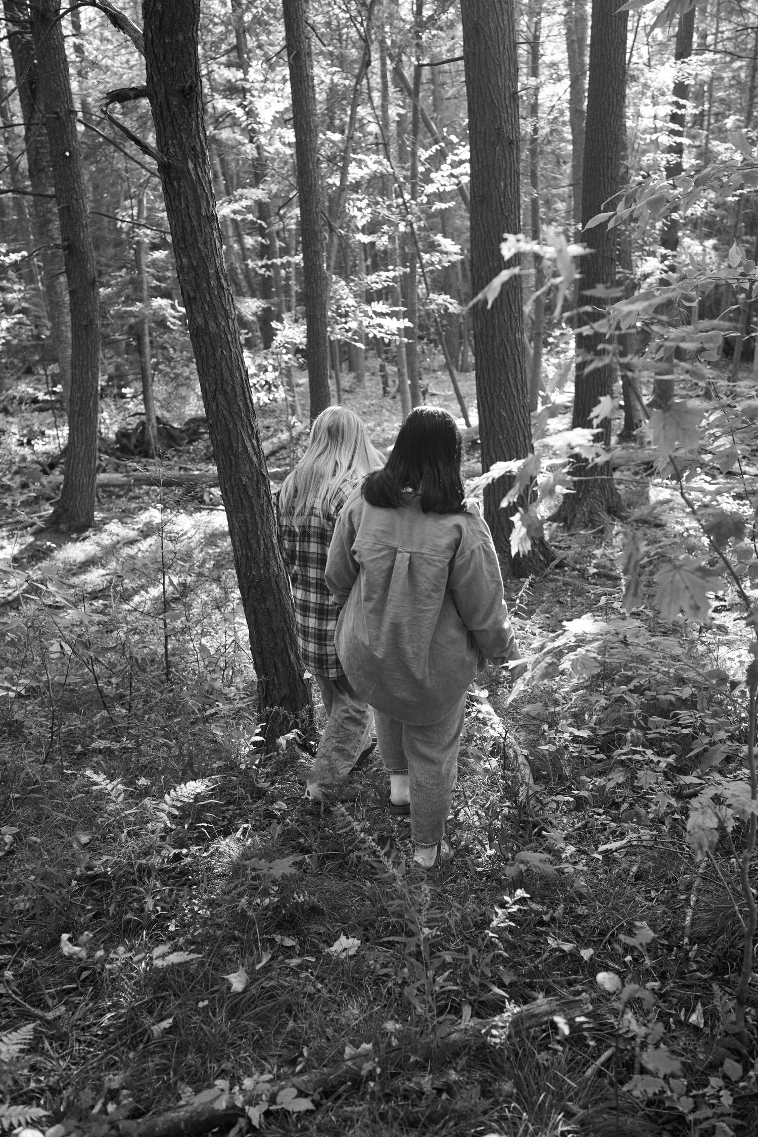 Two people walking together through a misty forest in black and white, surrounded by tall trees and fallen leaves.