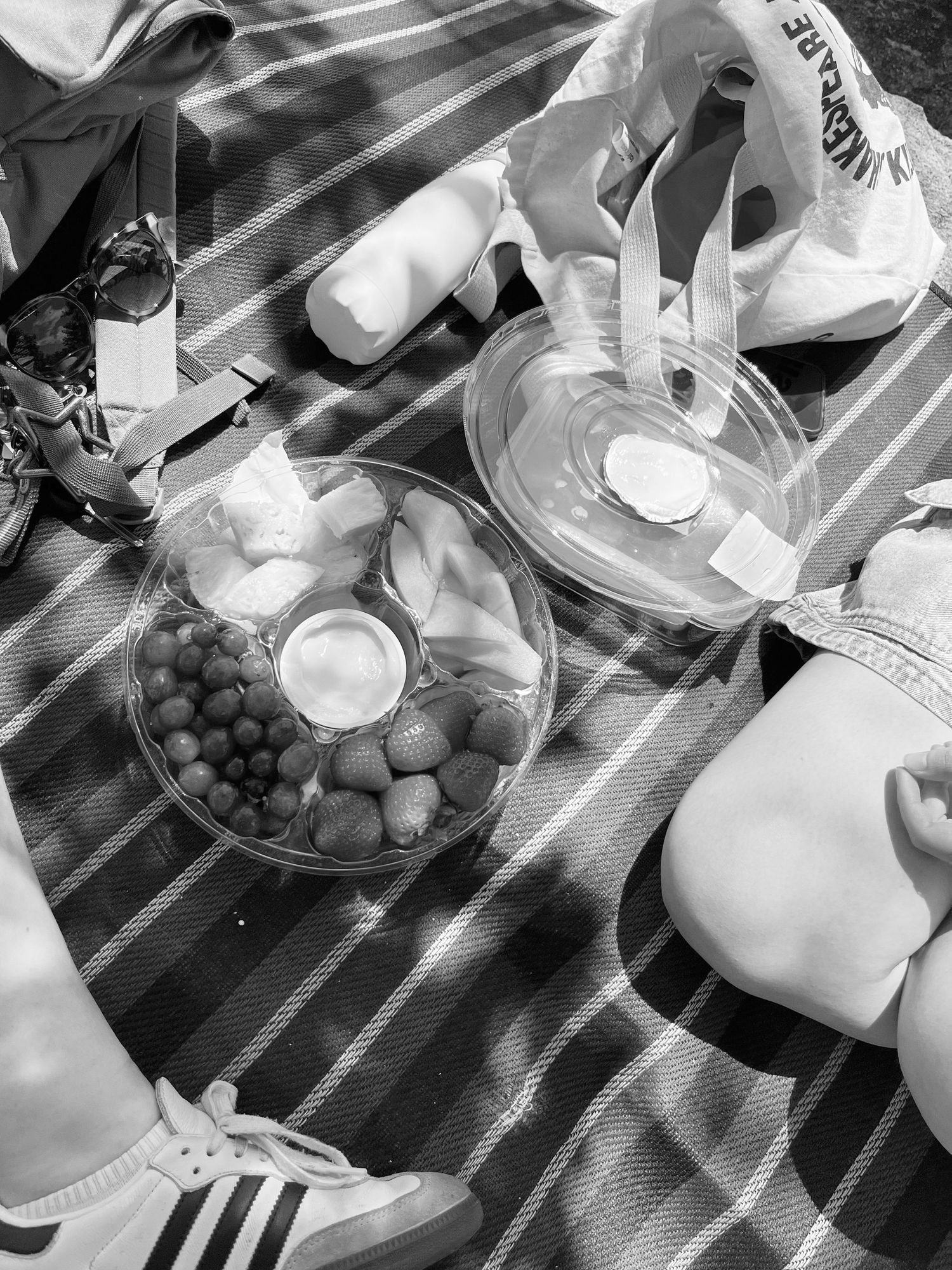 Black and white picnic scene with snacks, drinks, and Adidas sneakers on a striped blanket.