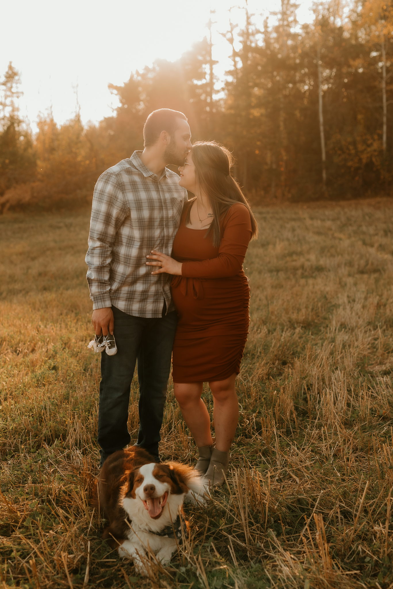 Couple sharing a kiss in a golden sunset field, woman in rust dress holding baby shoes, dog sitting at their feet.