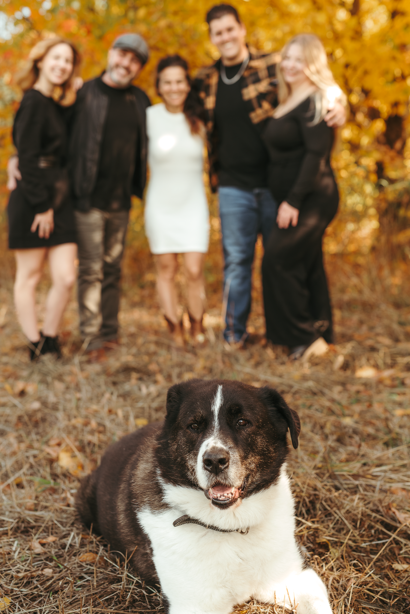 A black and white dog lies in the foreground with a smiling family of five posing among autumn foliage in the background.