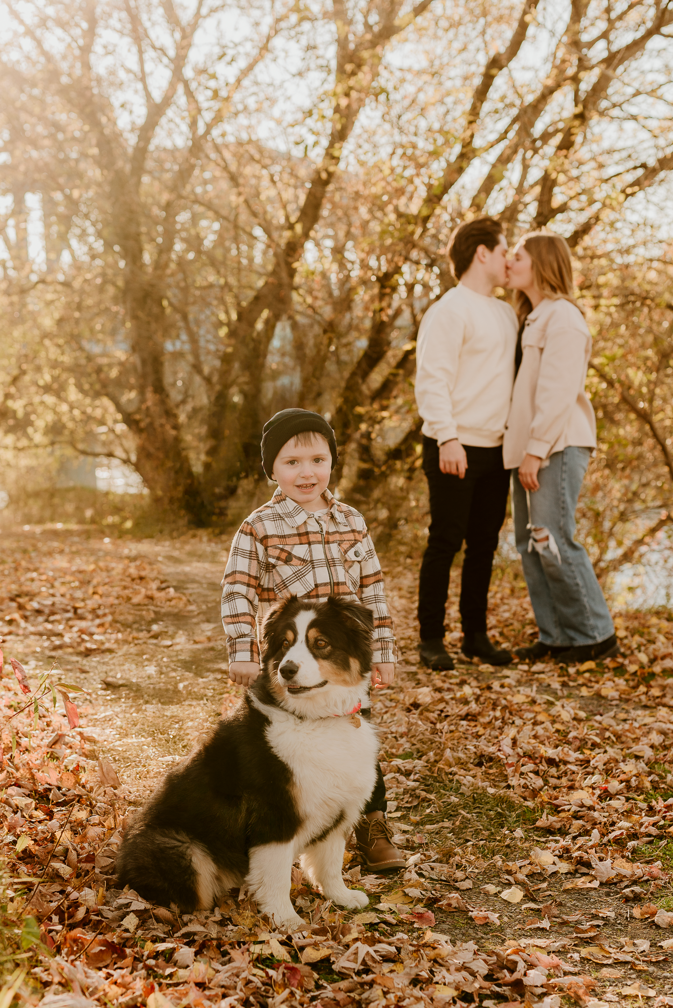 A young boy and Australian Shepherd dog pose during an autumn family photo session while parents kiss among fall foliage.