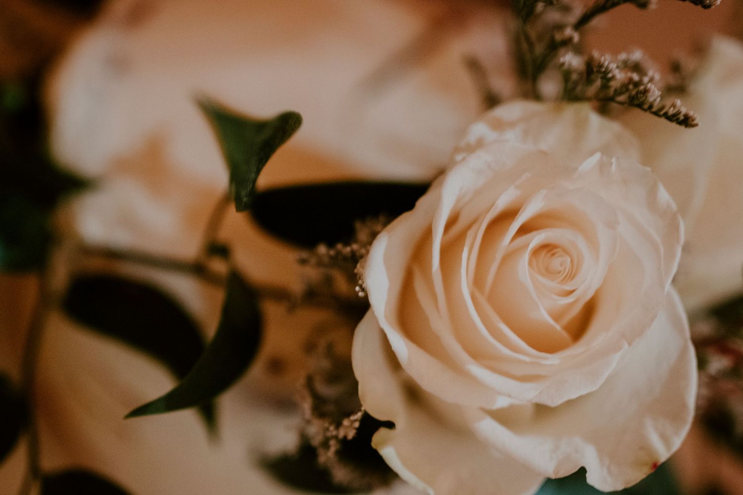 Close-up of a delicate white rose with green ivy leaves on a wedding cake.