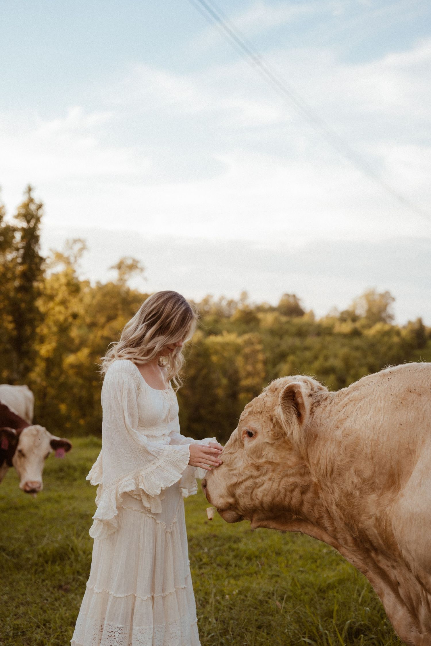 Woman in white dress pets cream-colored cow in pastoral field.