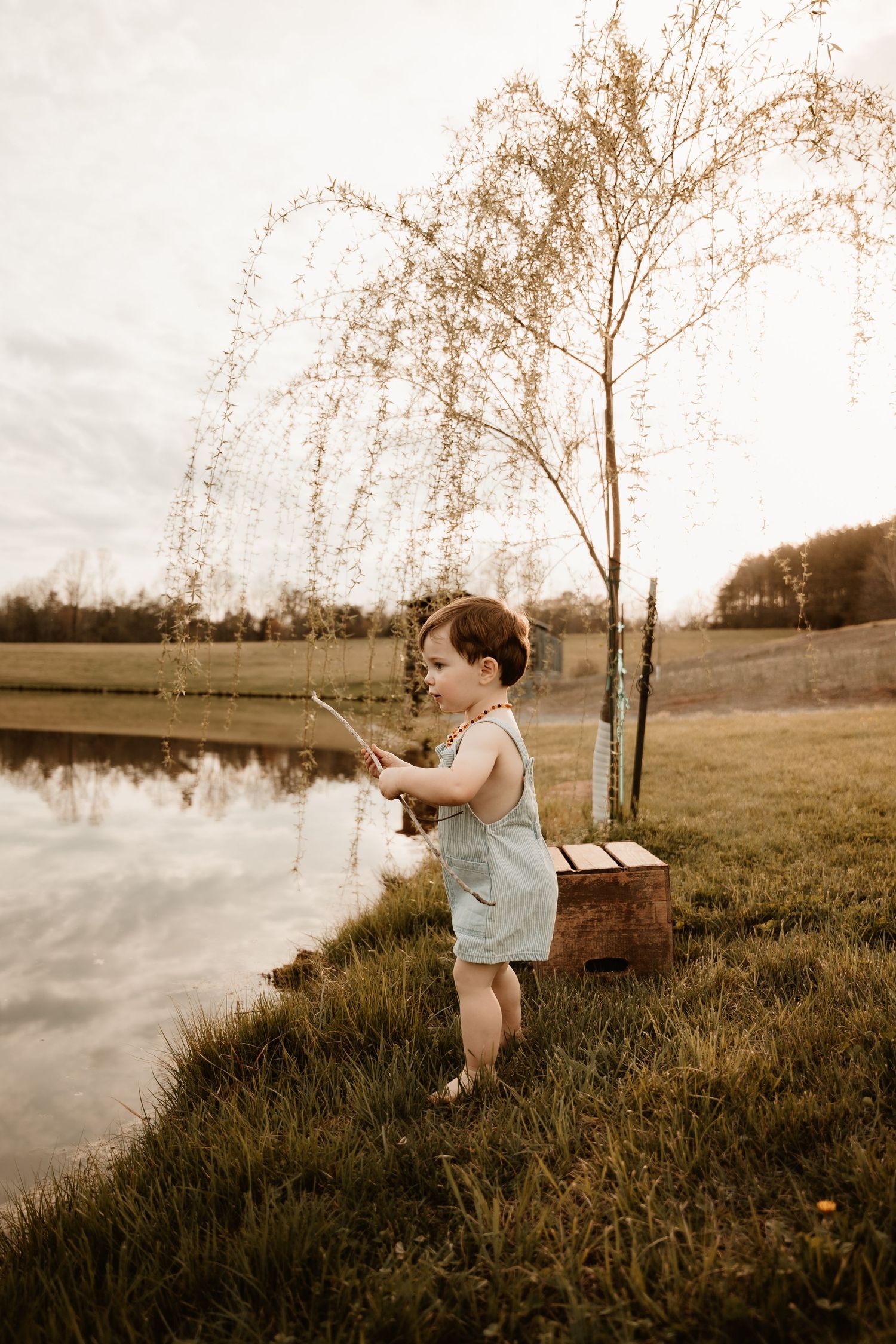 Picnic basket scene by a lake with willow trees at sunset.