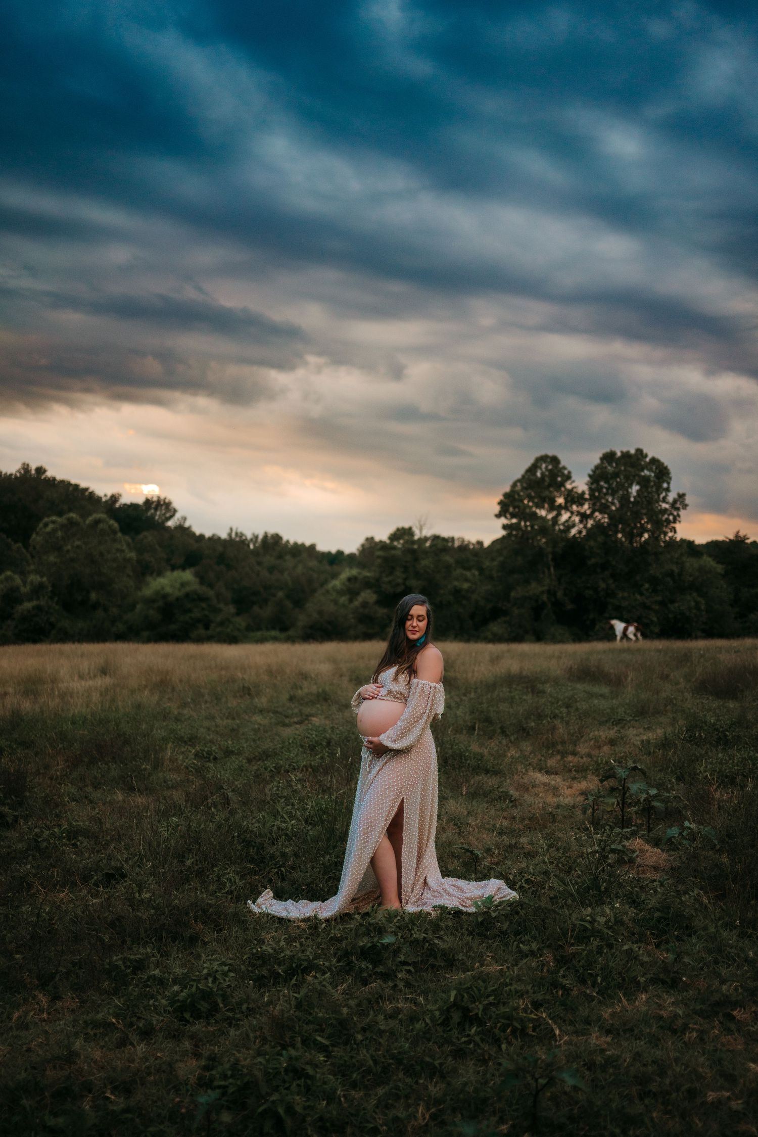 Romantic field photoshoot during dramatic sunset with moody clouds.
