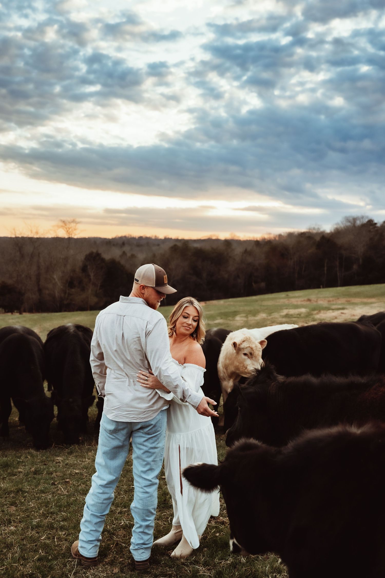 A romantic couple stands among a herd of cattle in a pastoral field during golden hour.