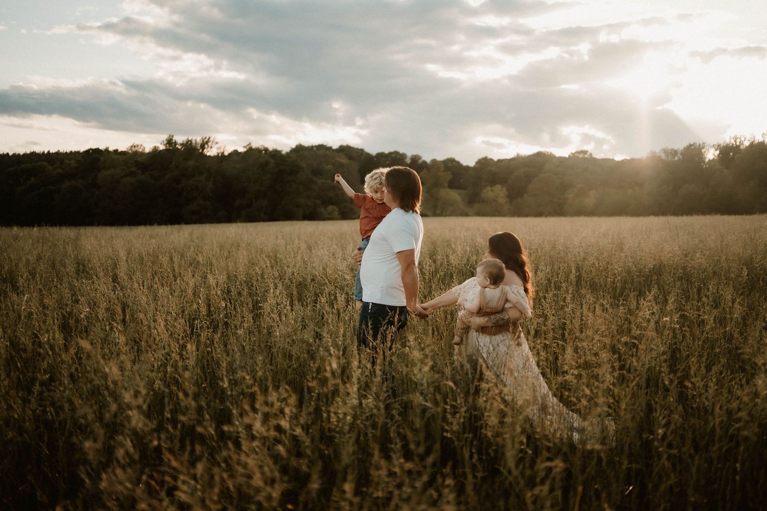 Golden sunlight illuminates a peaceful meadow landscape.