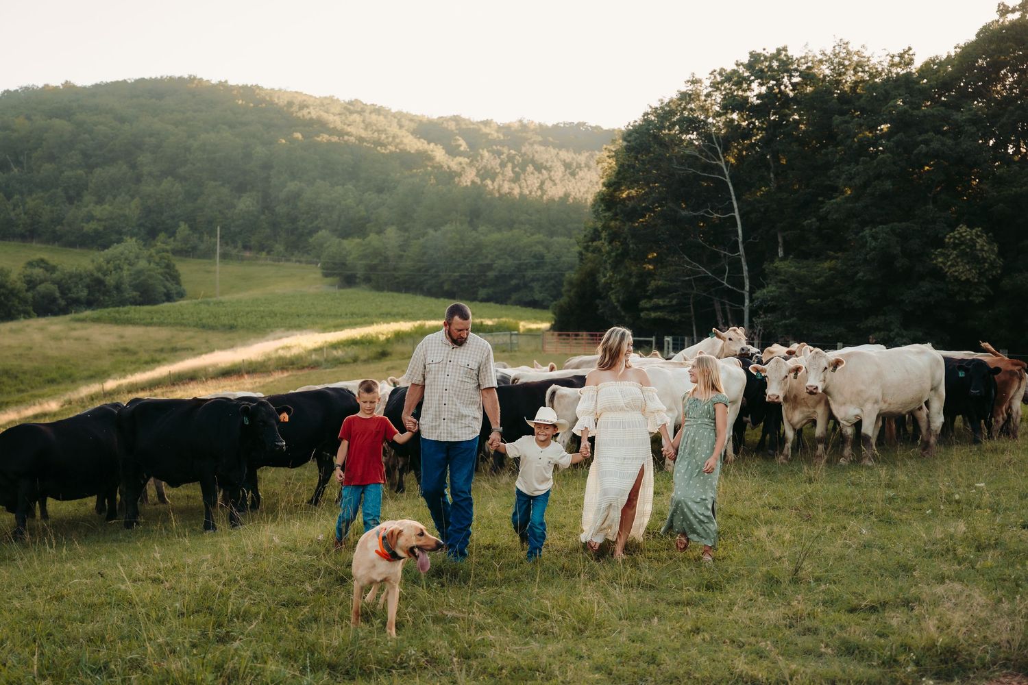 Family poses with herd of cattle in scenic mountain pasture at sunset.
